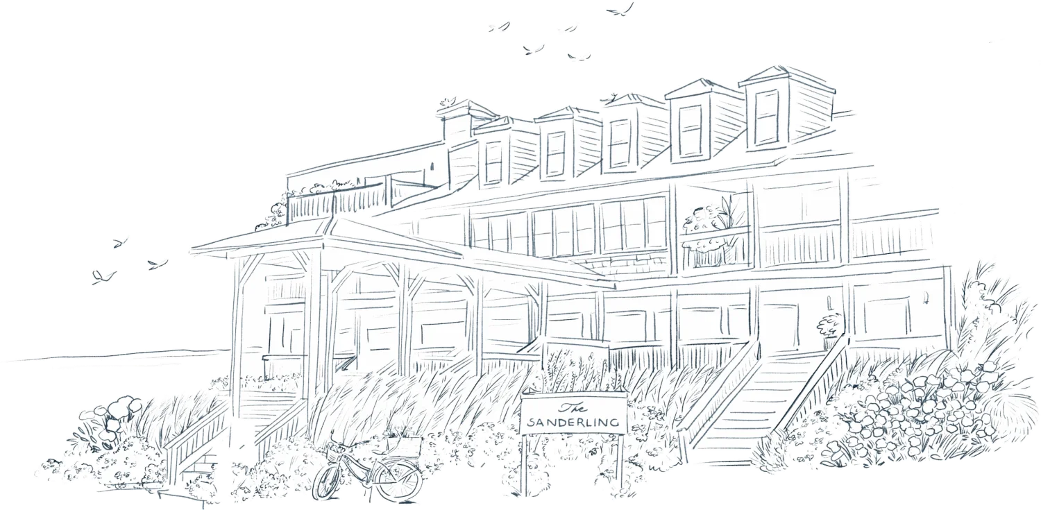 Homepage 2 Black and white illustration of The Sanderling Resort facade with seagulls flying near the sea and a bicycle parked at the entrance.